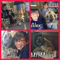 Alex_Moose-Collage_2016 (1)